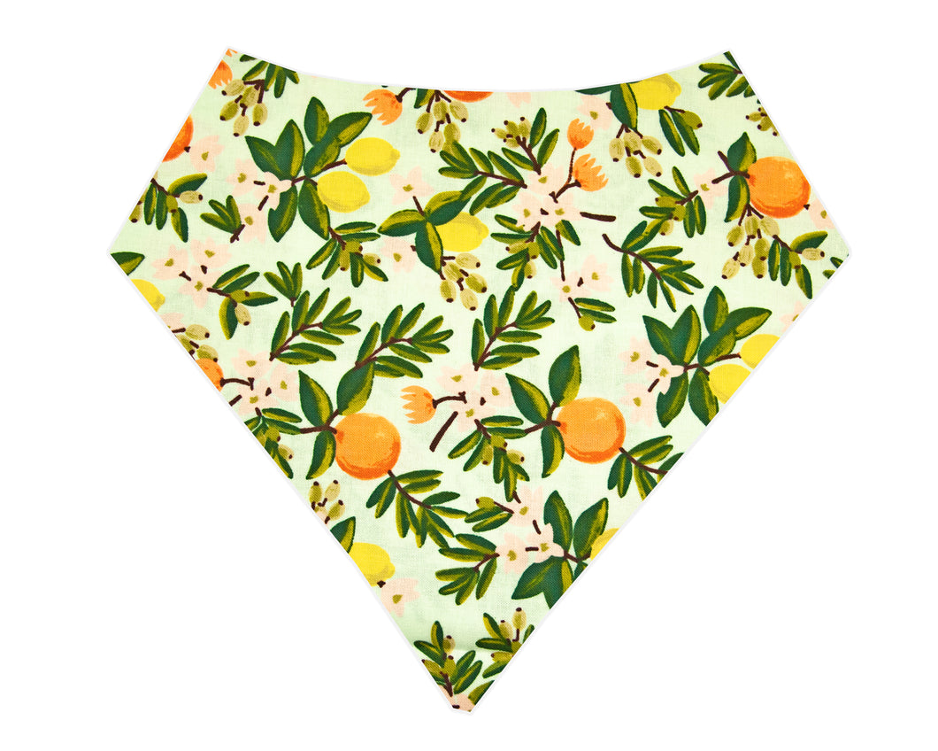 Primavera Floral Bandana- Mint