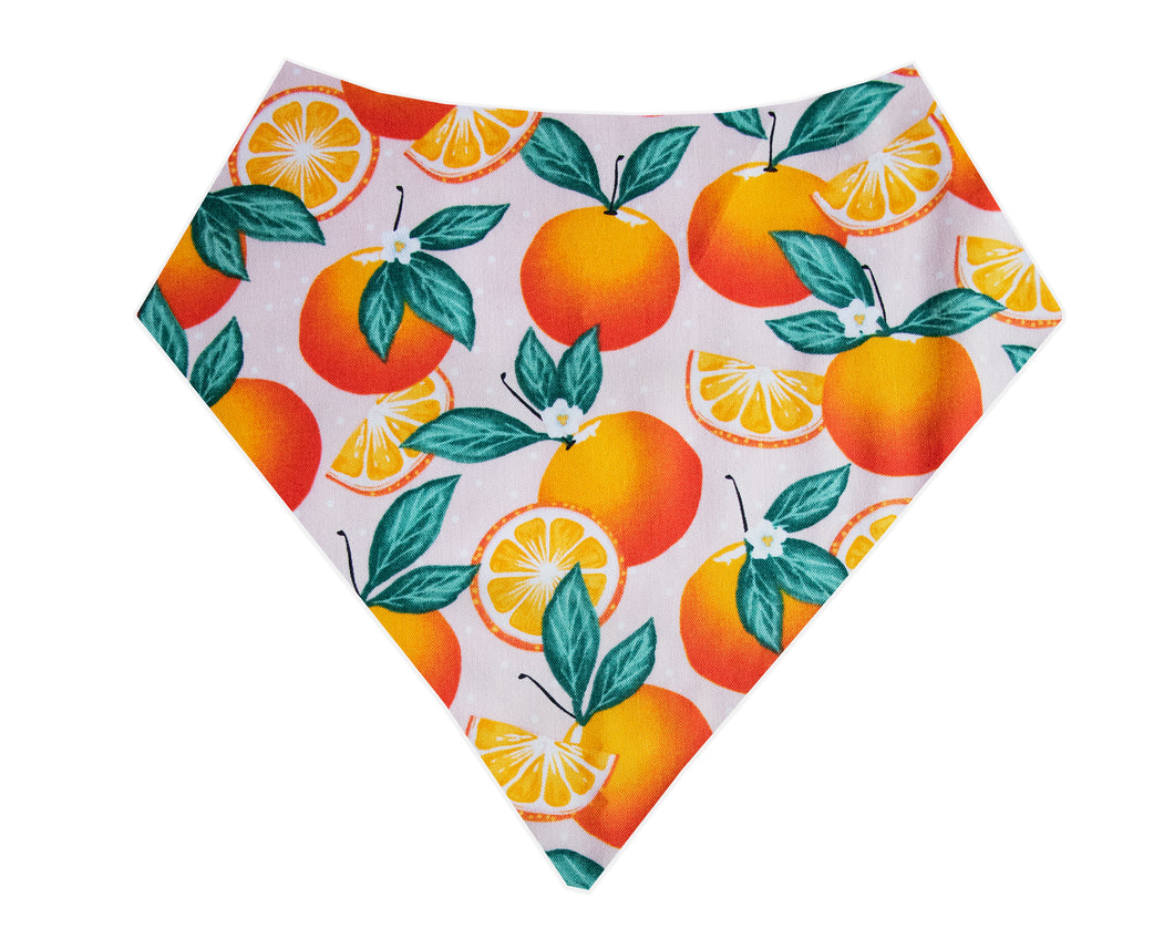 Orange Blossom Bandana