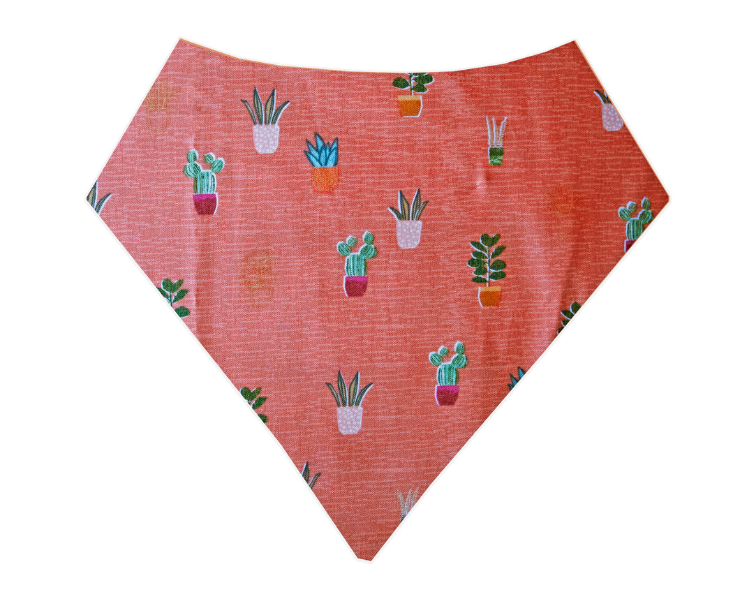 Succulent Print Bandana