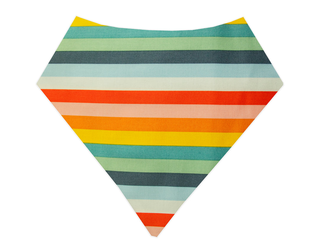 Rainbow Striped Bandana