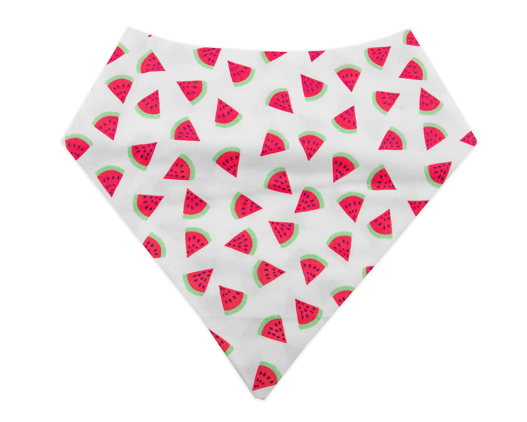 Watermelon Bandana