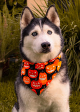 Load image into Gallery viewer, Glowing Jack O Lanterns Bandana
