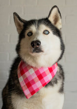 Load image into Gallery viewer, Pink Plaid Bandana
