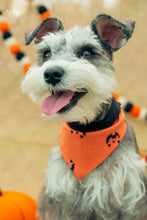 Load image into Gallery viewer, Jack O Lantern Bandana
