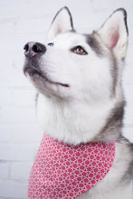 Load image into Gallery viewer, Snowflake Winter Bandana
