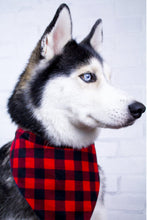 Load image into Gallery viewer, Buffalo Winter Bandana

