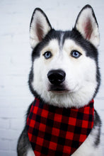 Load image into Gallery viewer, Buffalo Winter Bandana
