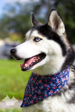 Load image into Gallery viewer, Floral Bandana- Navy &amp; Purple
