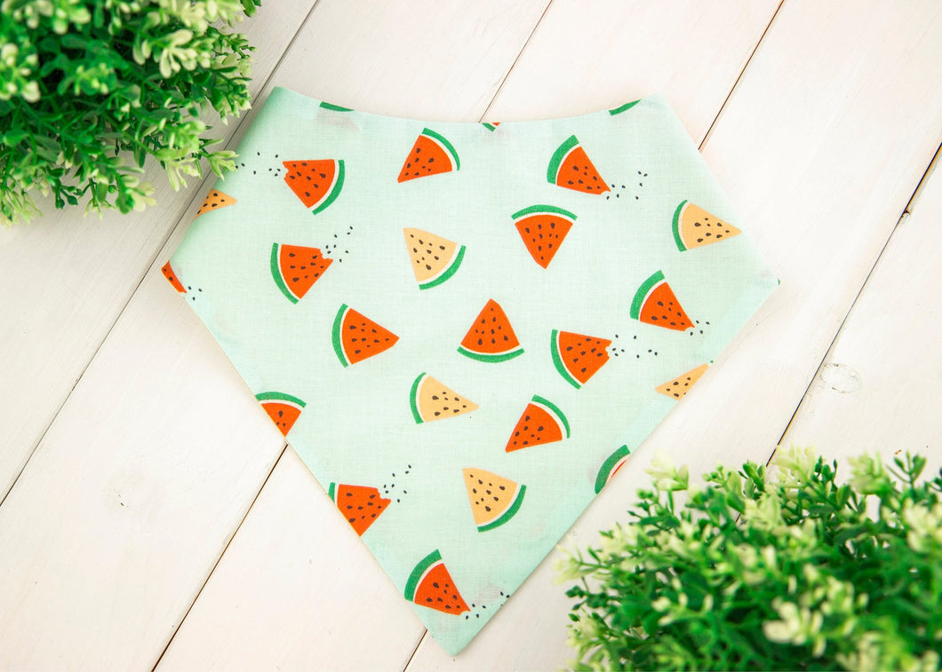 Watermelon Bandana
