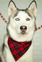 Load image into Gallery viewer, Winter Plaid Bandana
