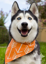 Load image into Gallery viewer, Orange &amp; White Arrows Bandana
